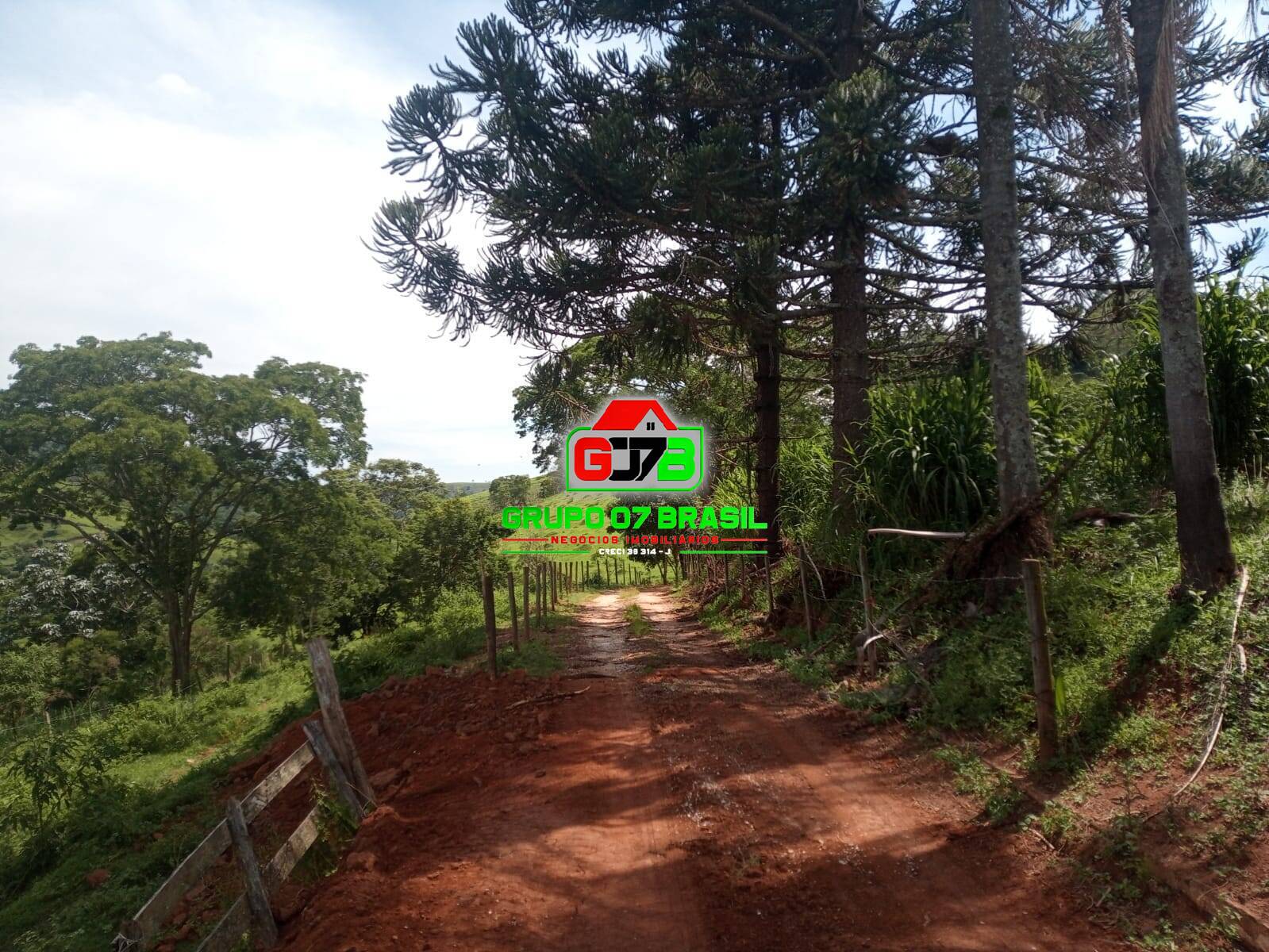 Sítio à venda com 2 quartos, 80m² - Foto 6