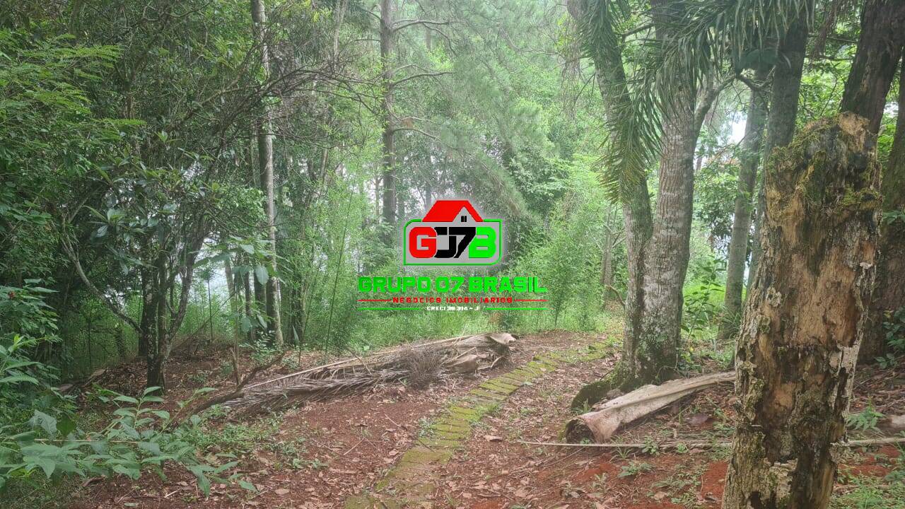 Chácara, 2 quartos, 3000 m² - Foto 4