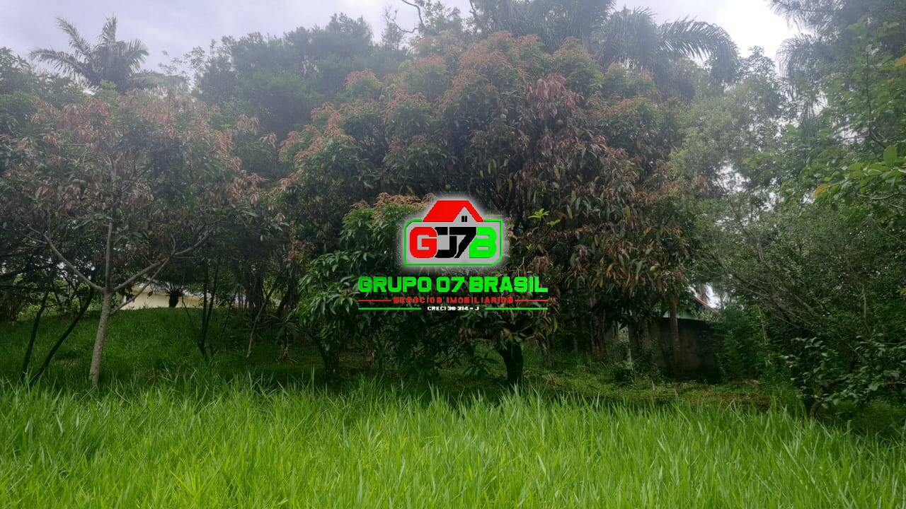 Chácara, 2 quartos, 3000 m² - Foto 5