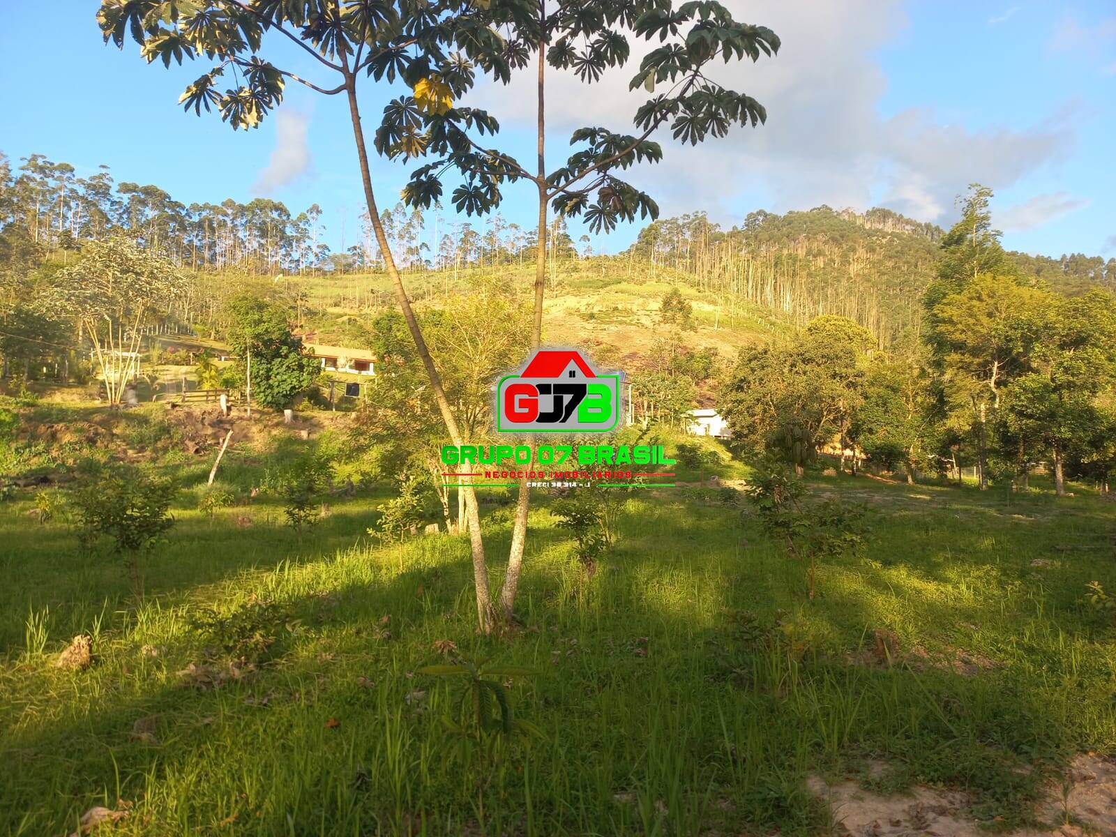 Sítio, 2 quartos, 70 m² - Foto 2