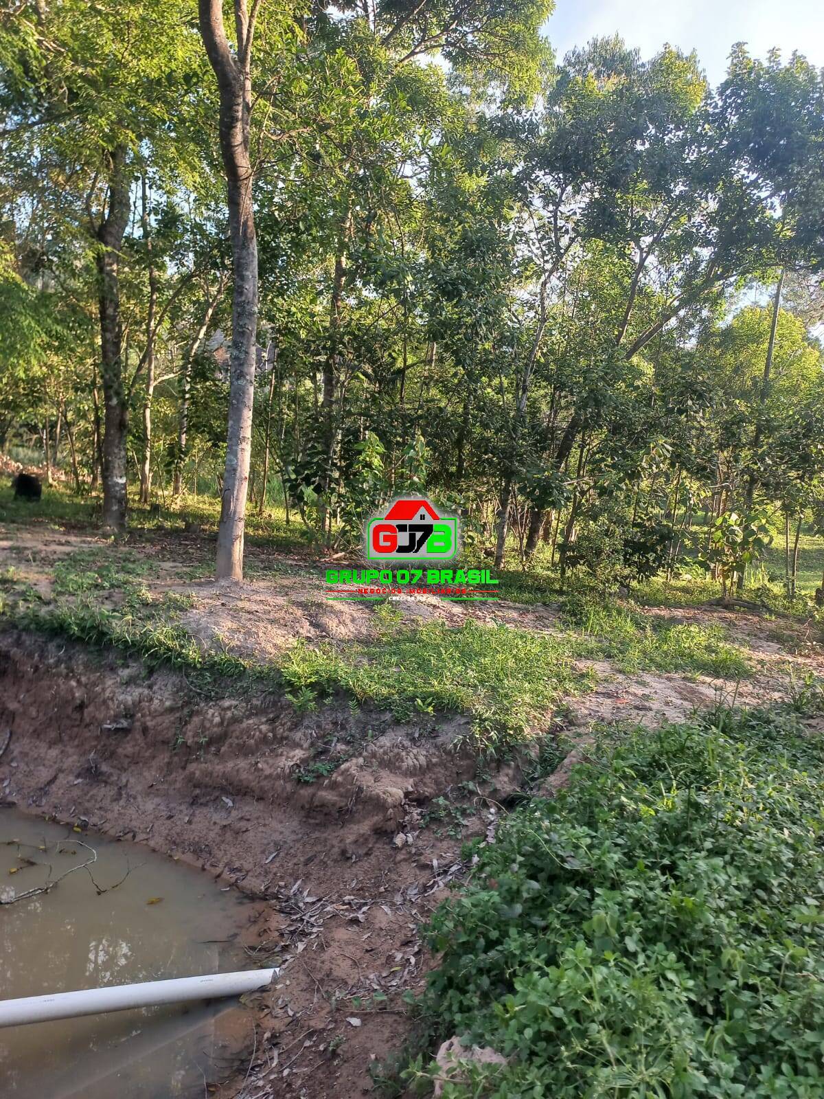 Sítio, 2 quartos, 70 m² - Foto 3