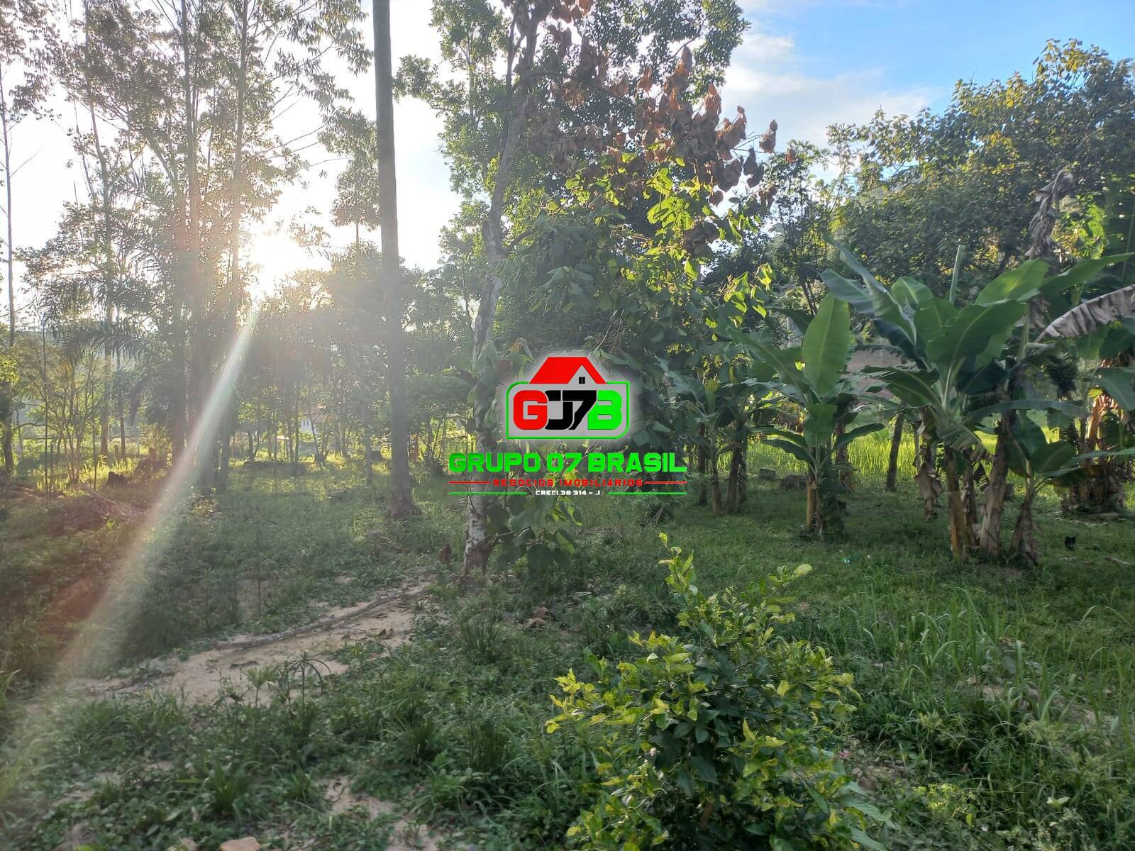 Sítio, 2 quartos, 70 m² - Foto 4