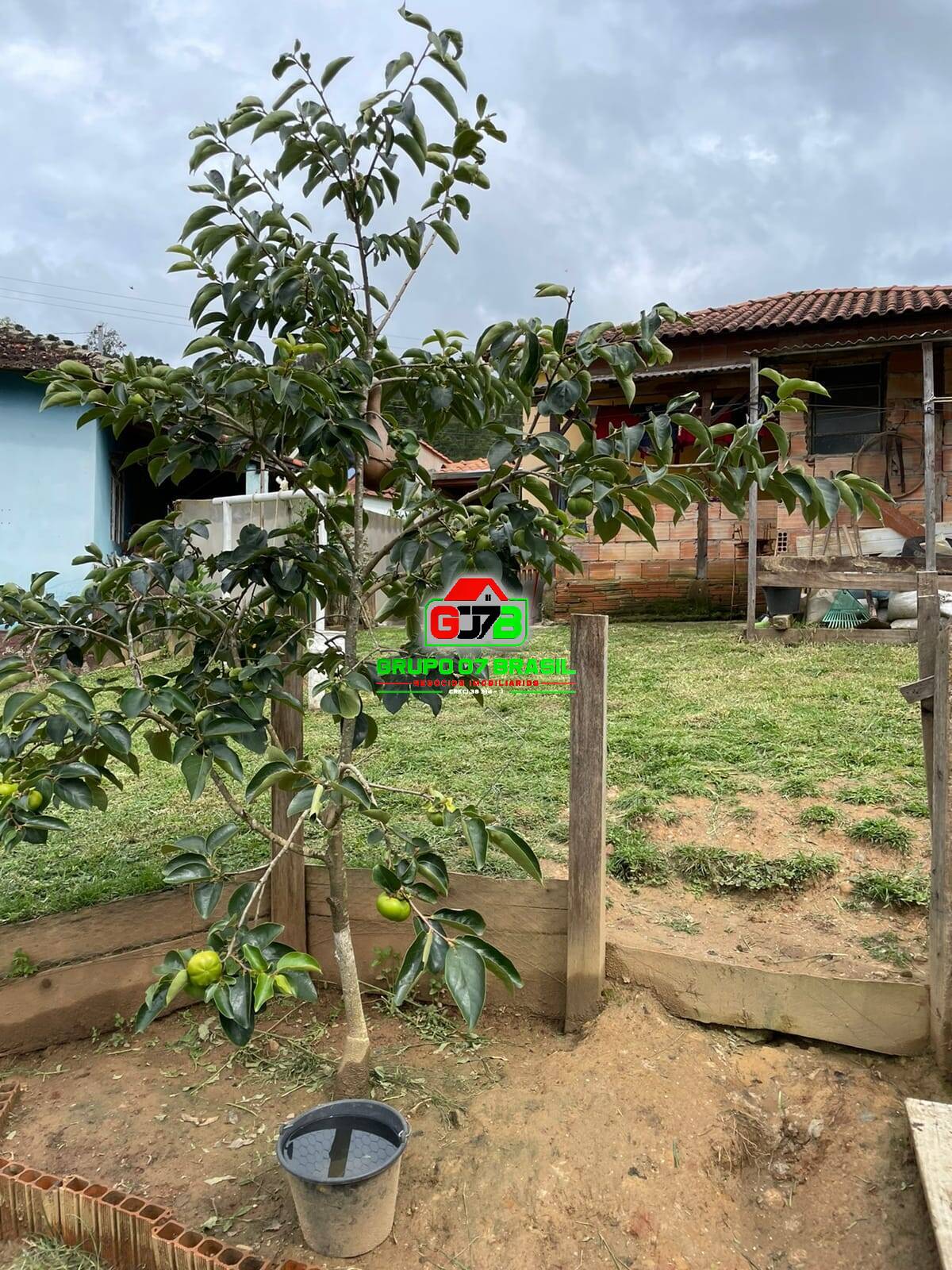 Casa à venda com 3 quartos, 120m² - Foto 14