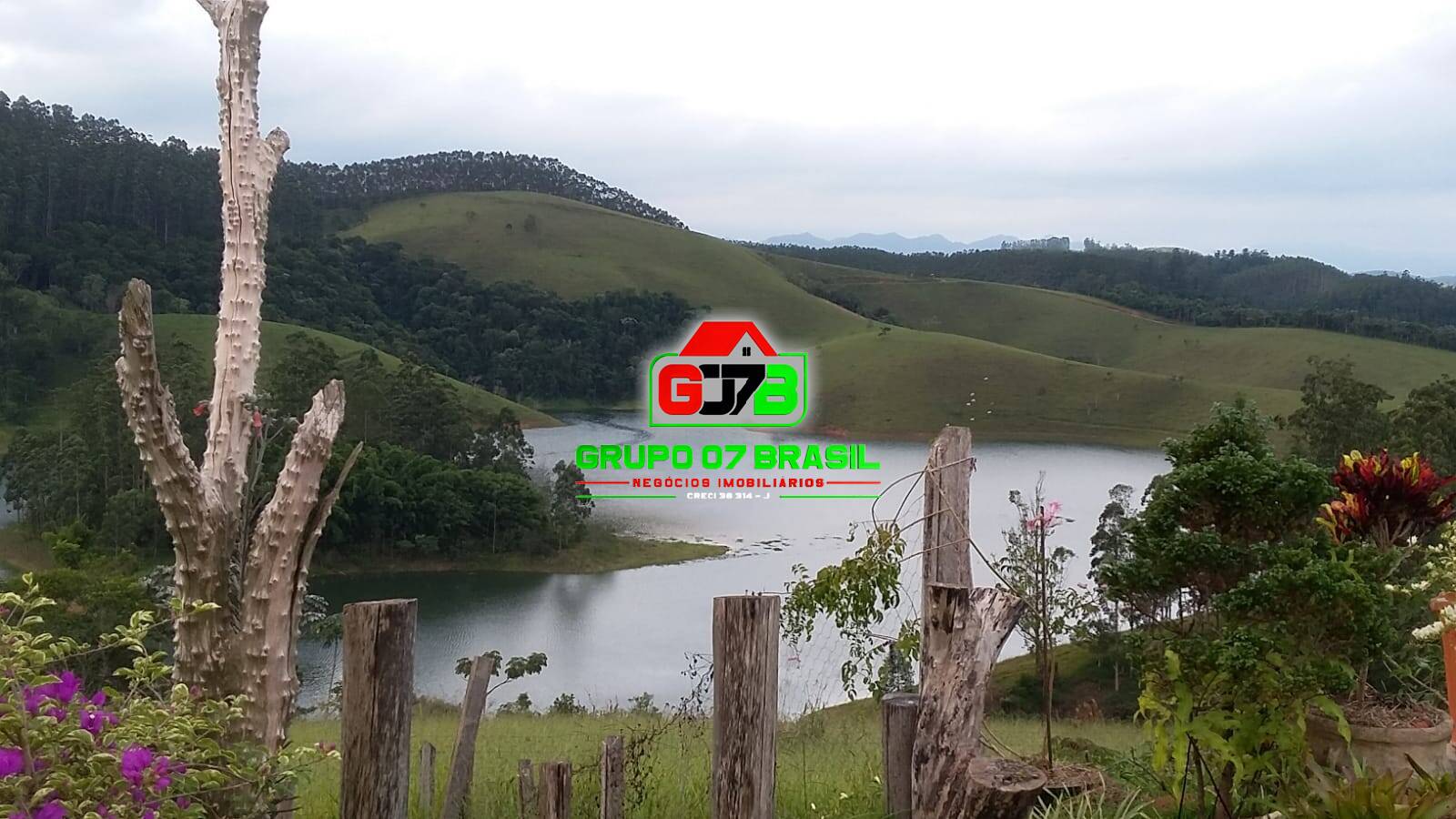 Chácara à venda com 2 quartos, 12000m² - Foto 7