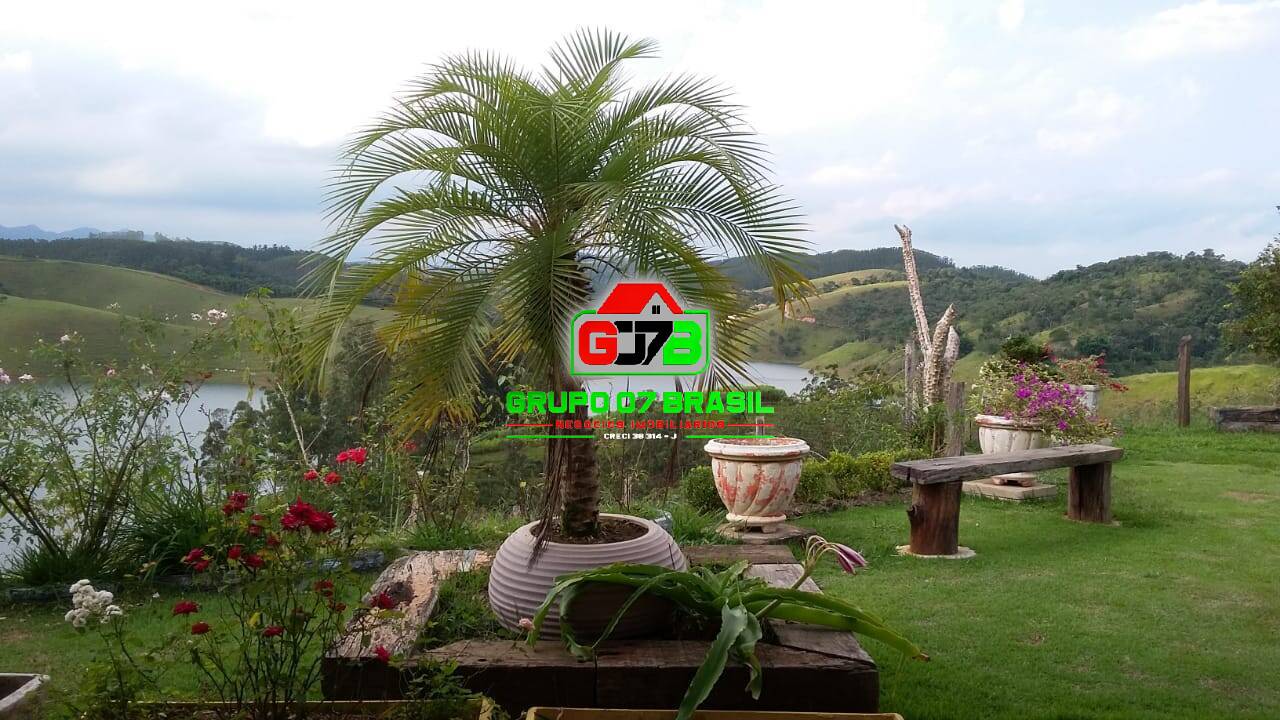 Chácara à venda com 2 quartos, 12000m² - Foto 16