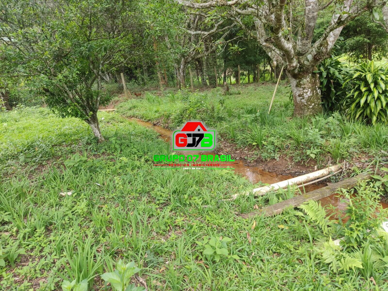 Terreno, 3000 m² - Foto 3