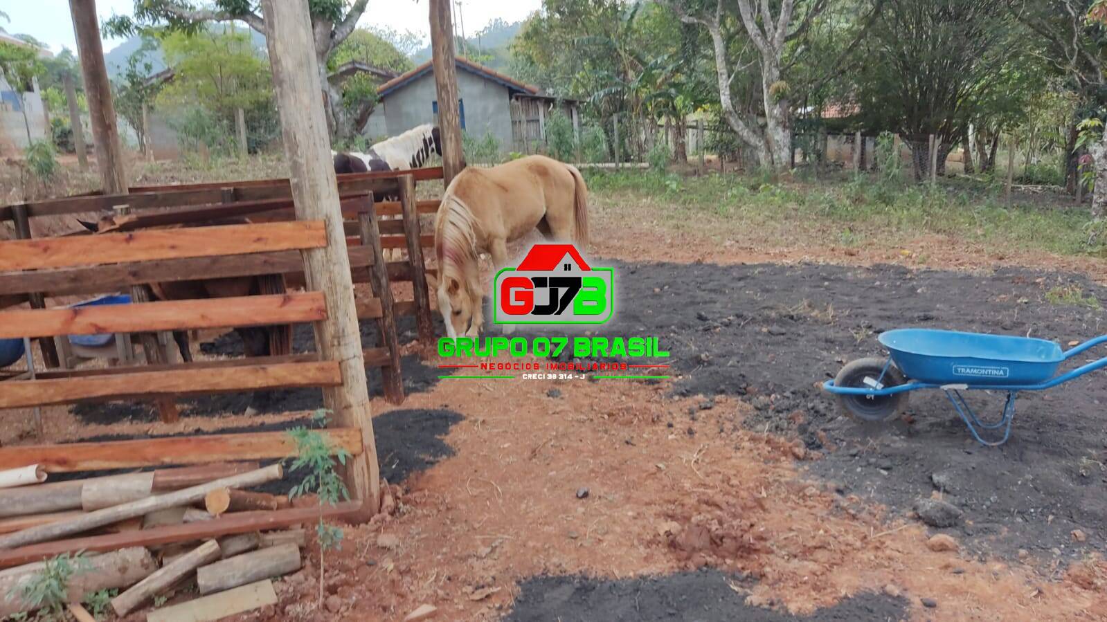 Terreno, 3000 m² - Foto 14