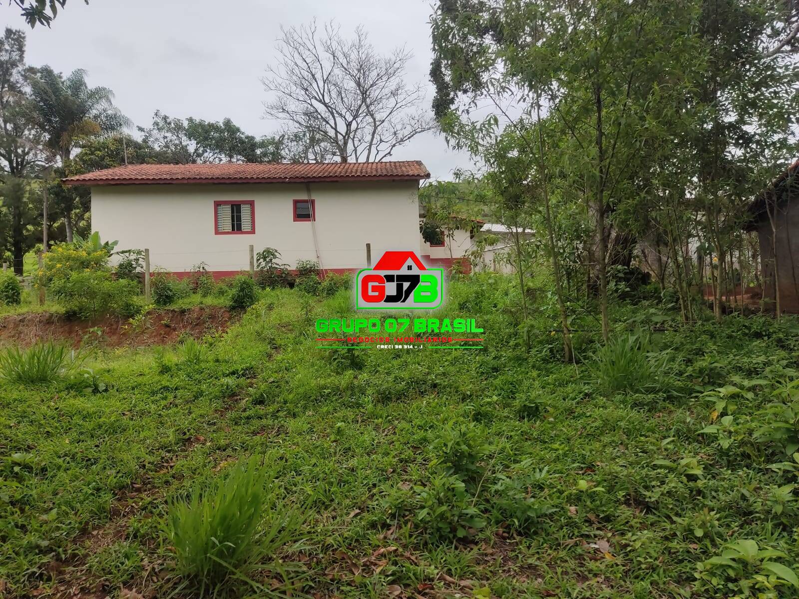 Chácara, 4 quartos, 2000 m² - Foto 16