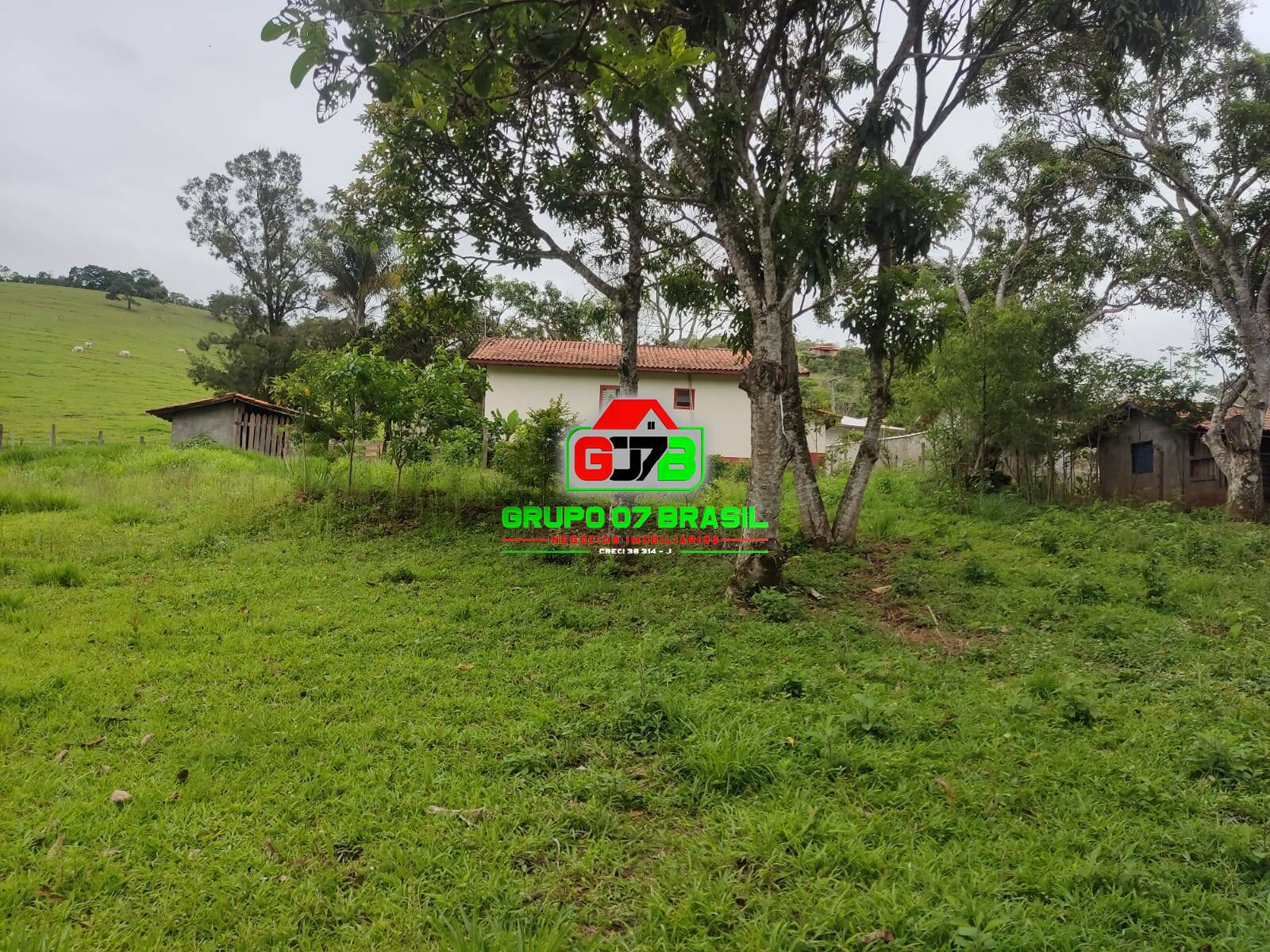 Chácara, 4 quartos, 2000 m² - Foto 24