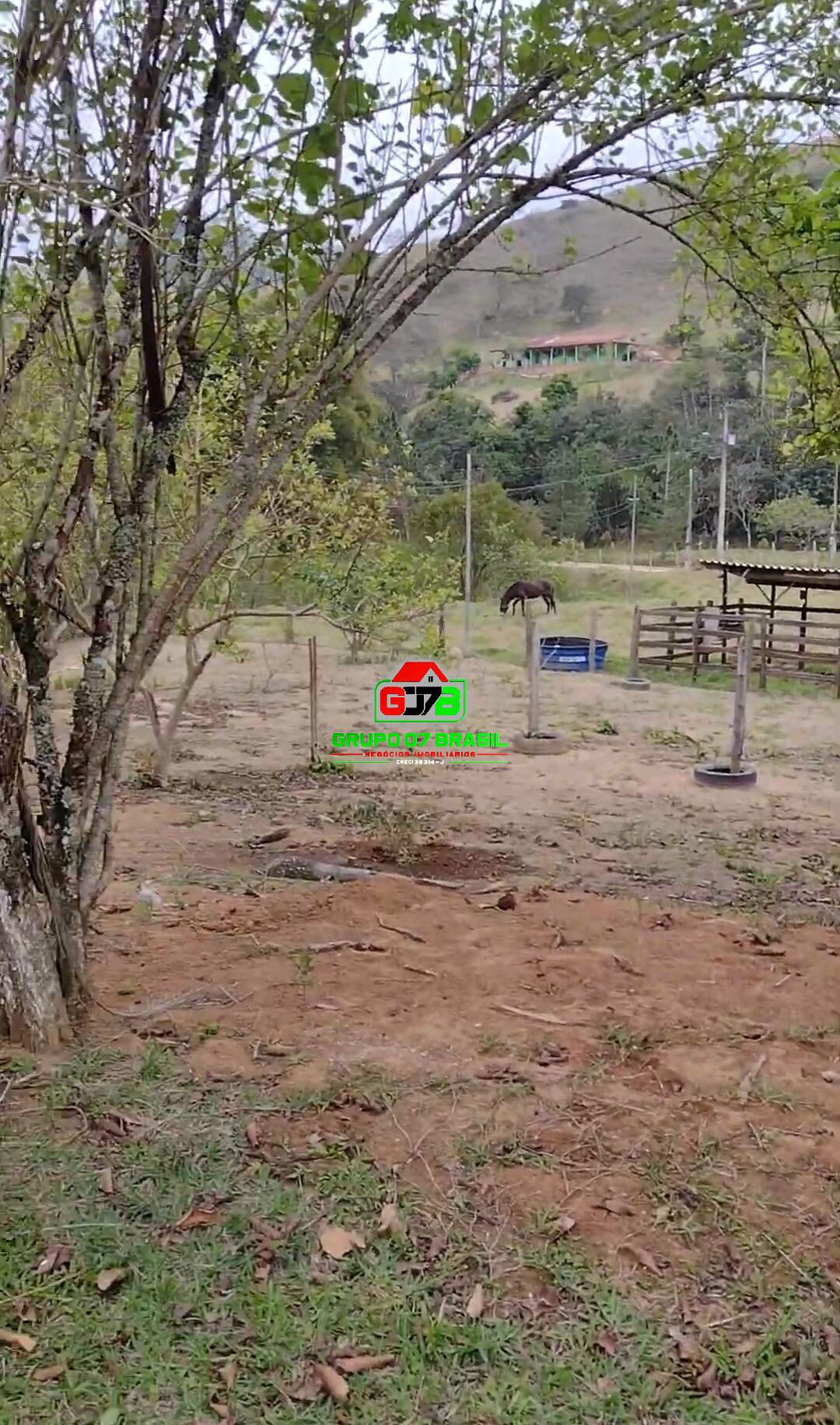 Sítio, 2 quartos, 2 hectares - Foto 9