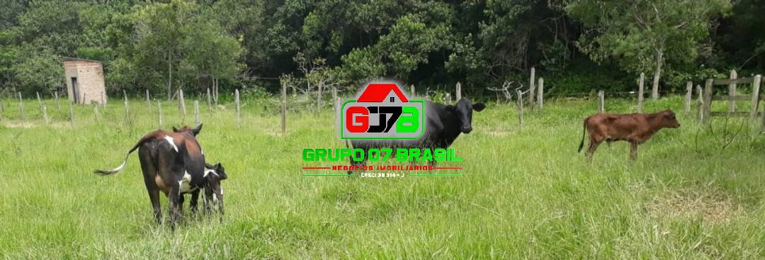 Sítio, 2 quartos, 2 hectares - Foto 1