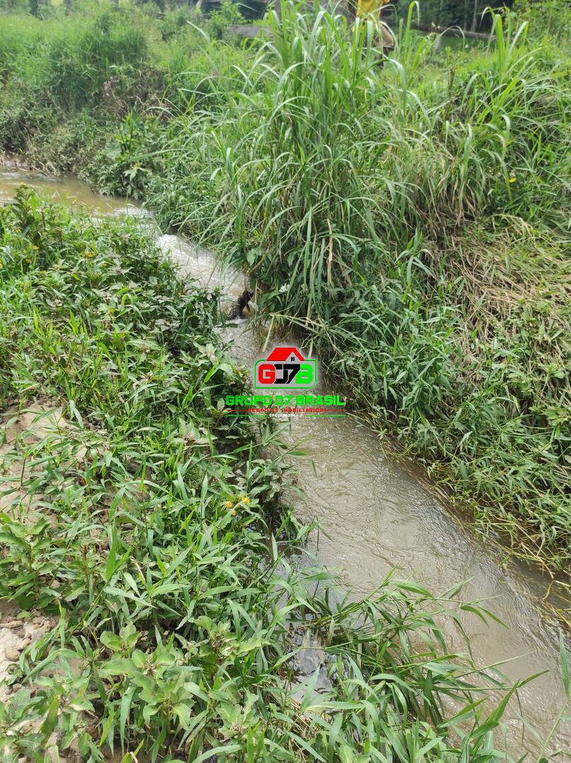 Terreno, 2 hectares - Foto 1