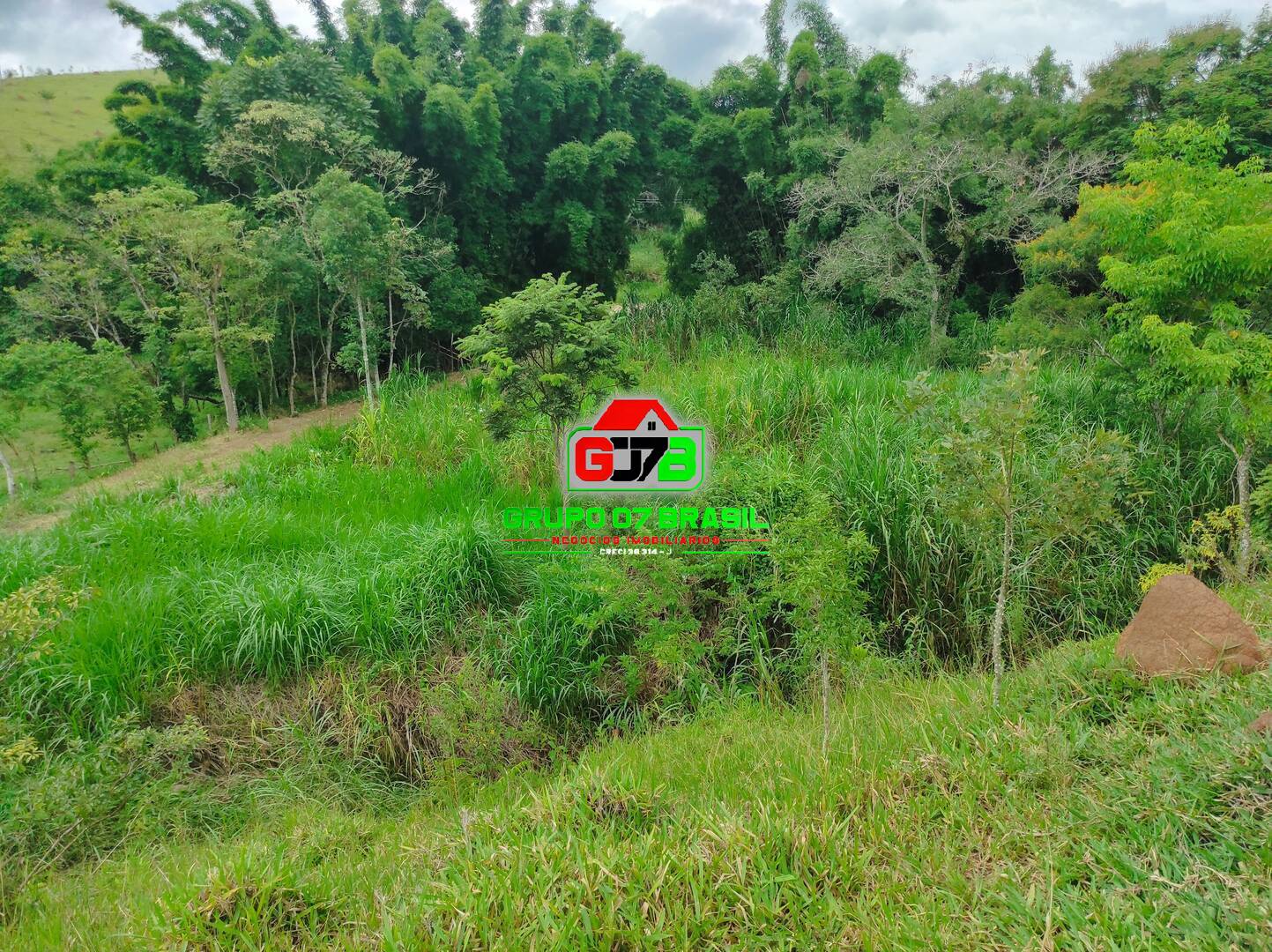 Terreno, 2 hectares - Foto 2