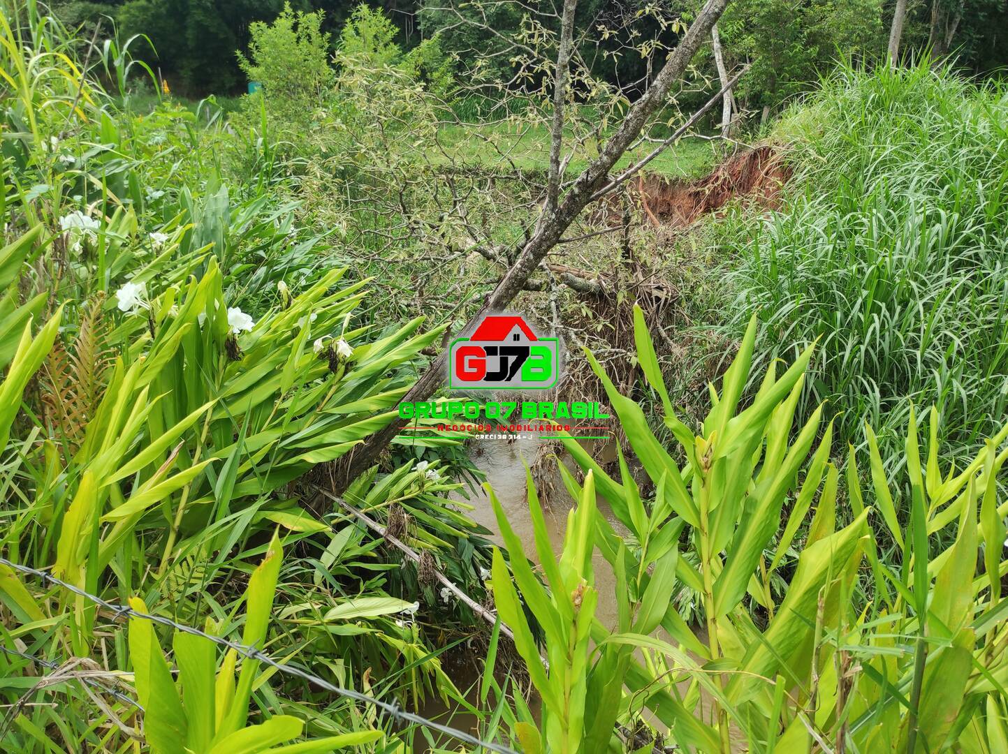 Terreno, 2 hectares - Foto 3