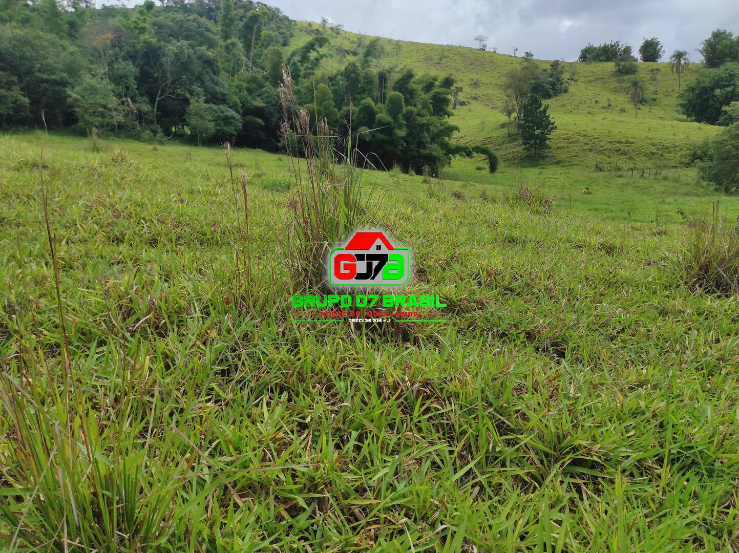 Terreno, 2 hectares - Foto 4