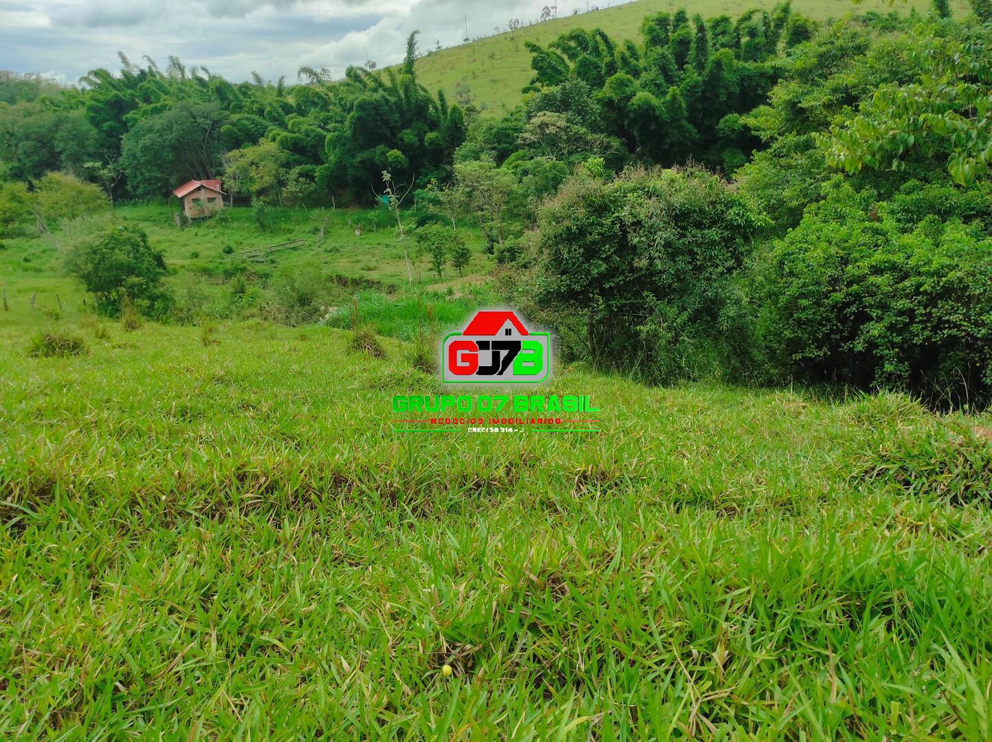 Terreno, 2 hectares - Foto 5