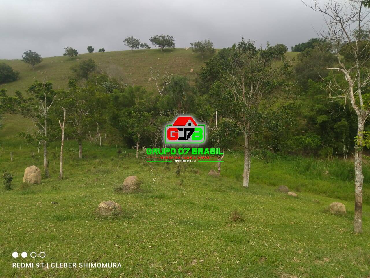 Terreno, 4 hectares - Foto 9