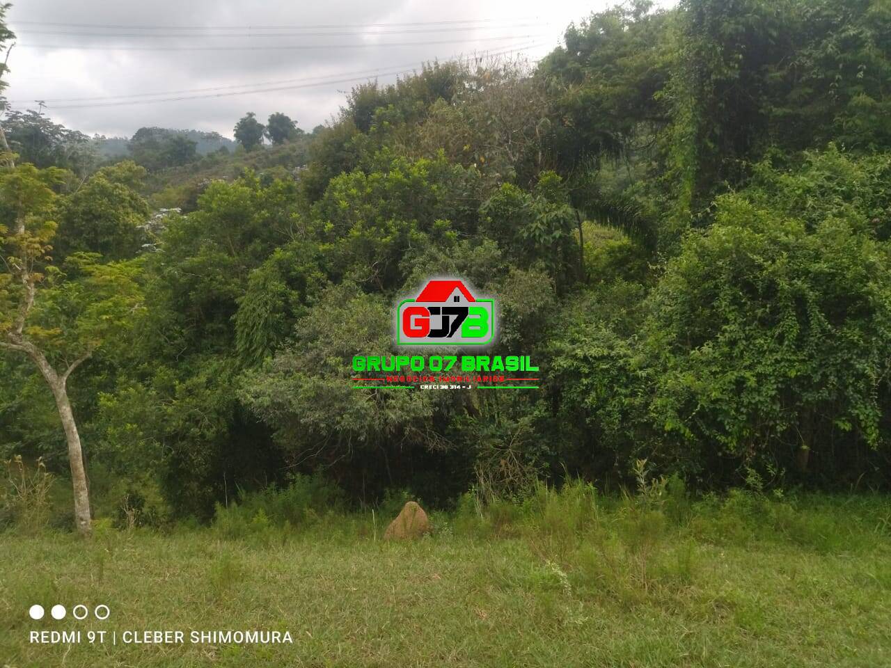 Terreno, 4 hectares - Foto 10
