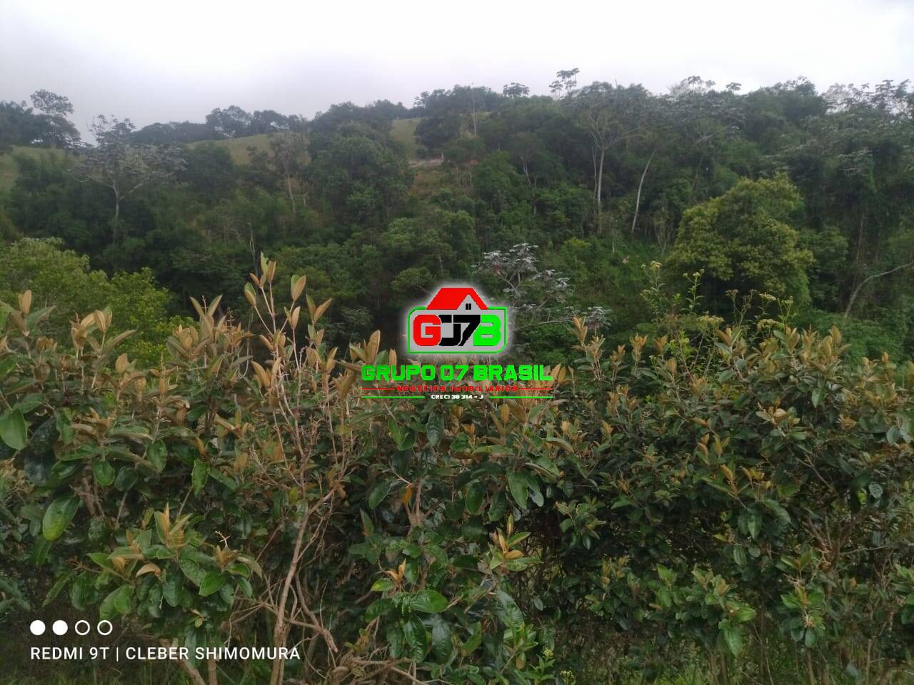 Terreno, 4 hectares - Foto 17