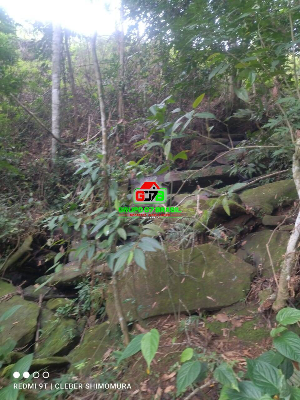 Terreno, 4 hectares - Foto 18