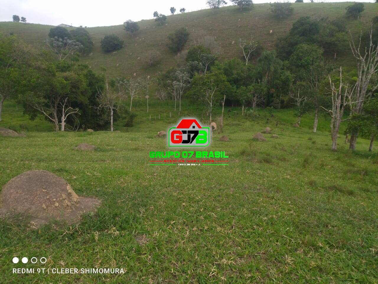 Terreno, 4 hectares - Foto 23