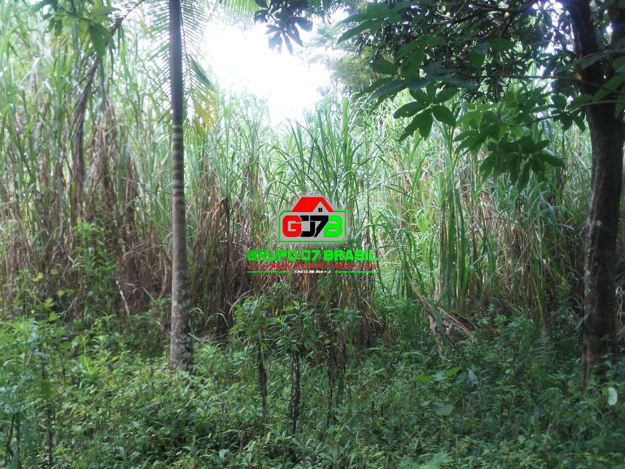 Terreno, 5000 m² - Foto 2