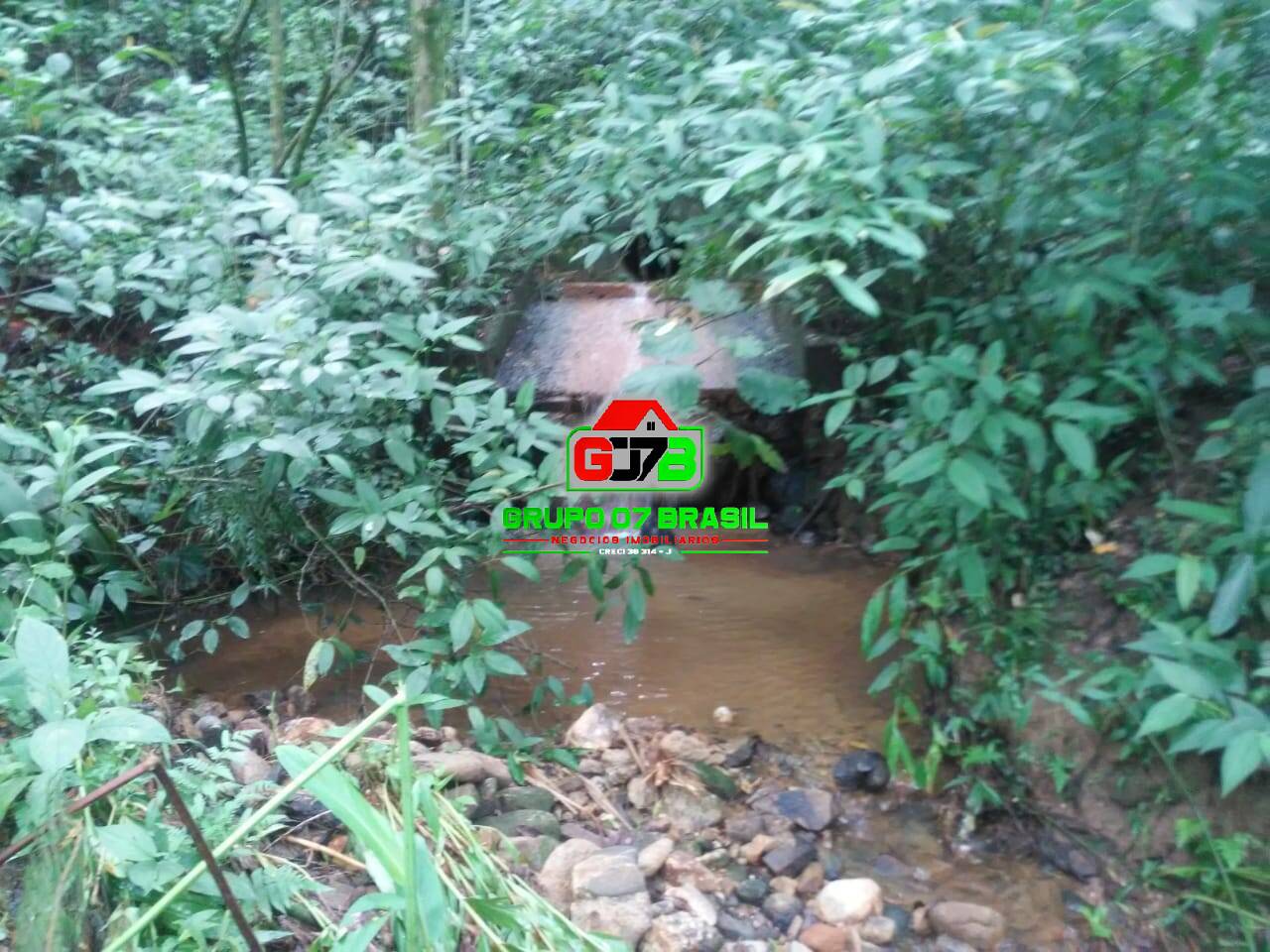 Terreno, 5000 m² - Foto 4