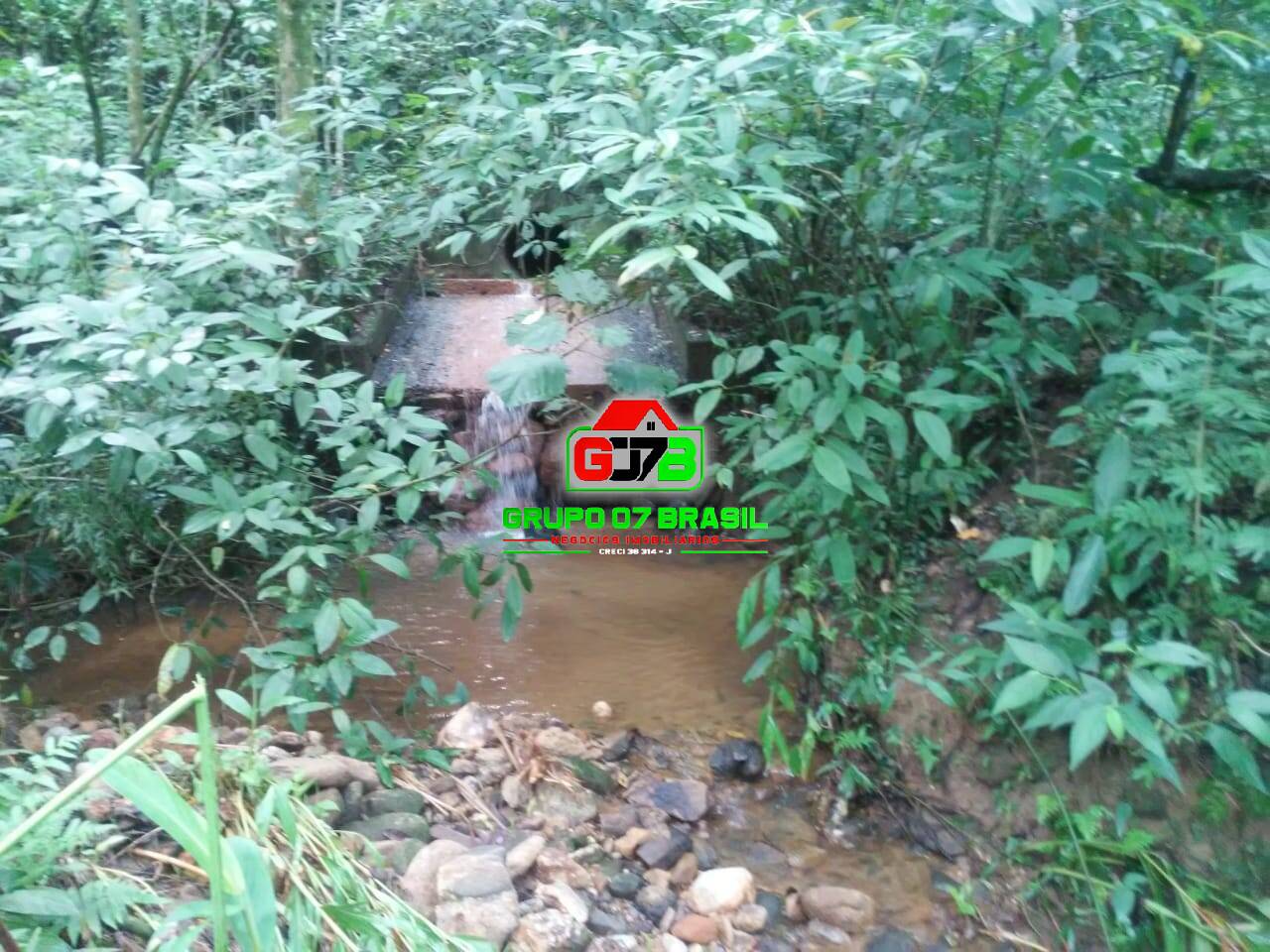 Terreno, 5000 m² - Foto 5