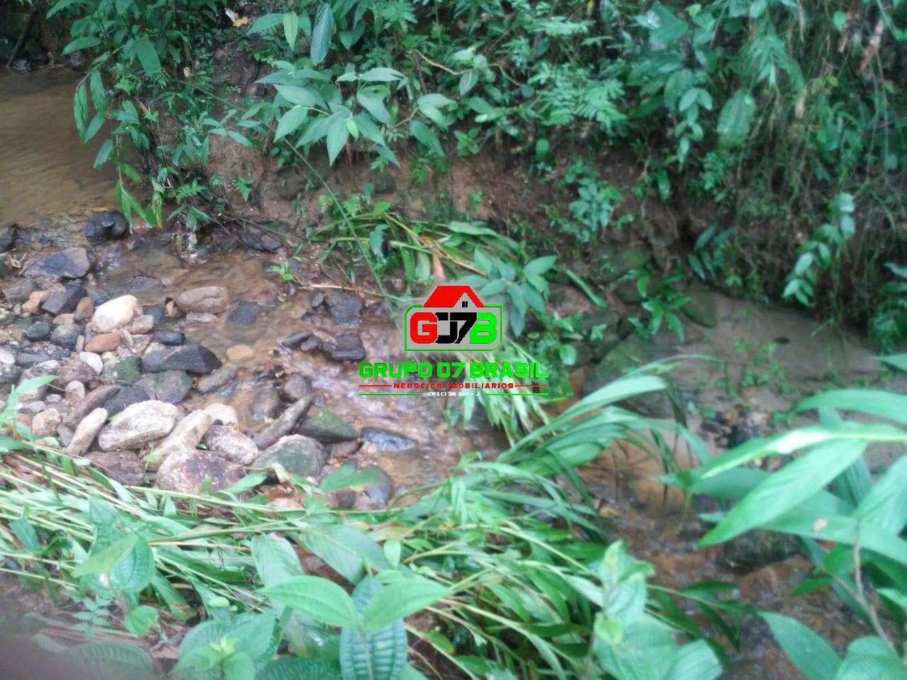 Terreno, 5000 m² - Foto 6