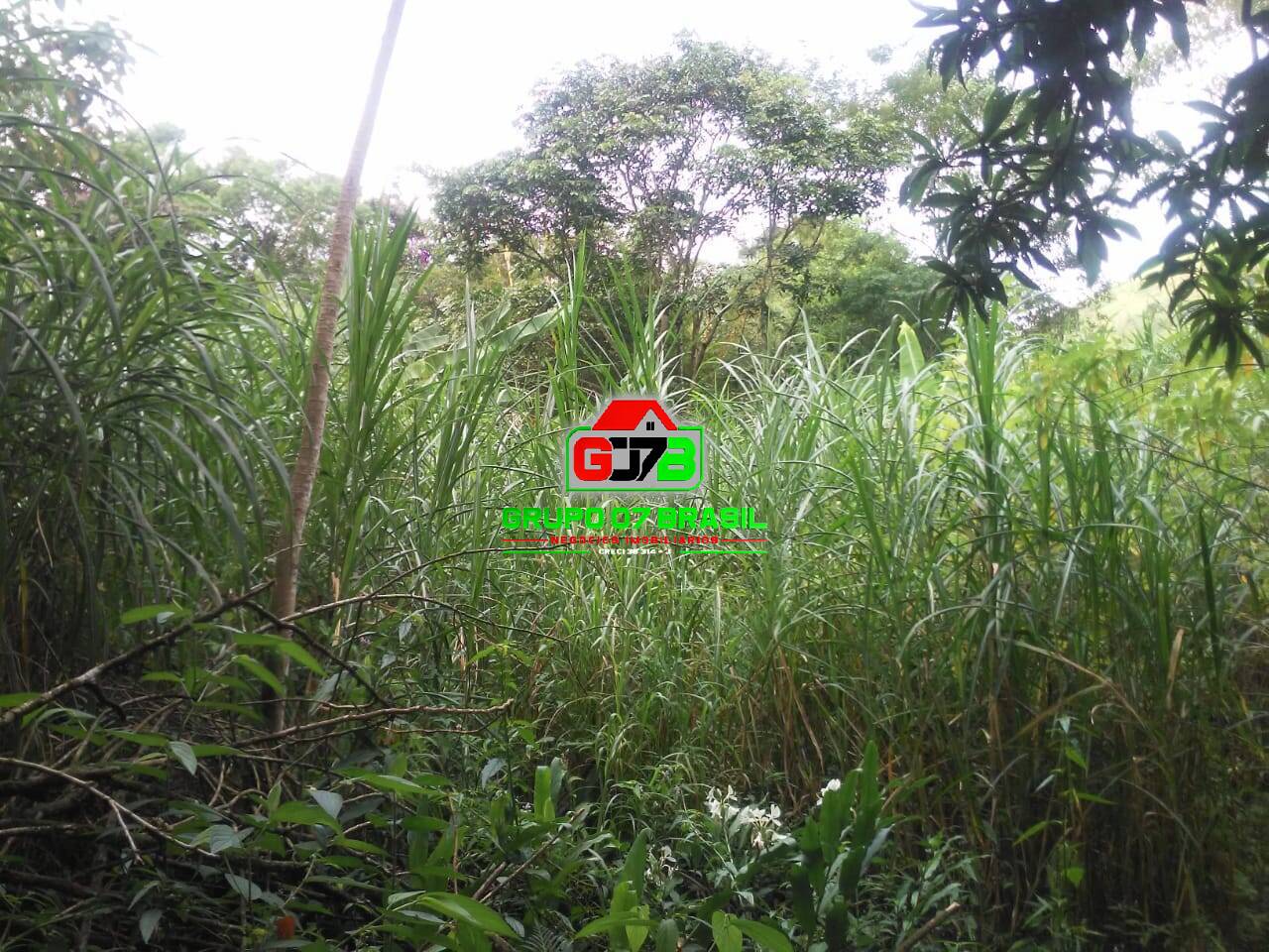 Terreno, 5000 m² - Foto 8