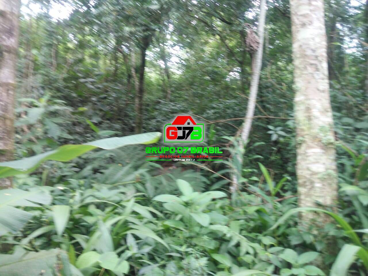 Terreno, 5000 m² - Foto 7