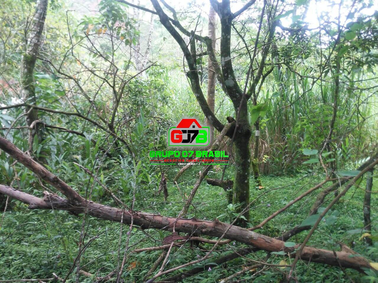 Terreno, 5000 m² - Foto 9