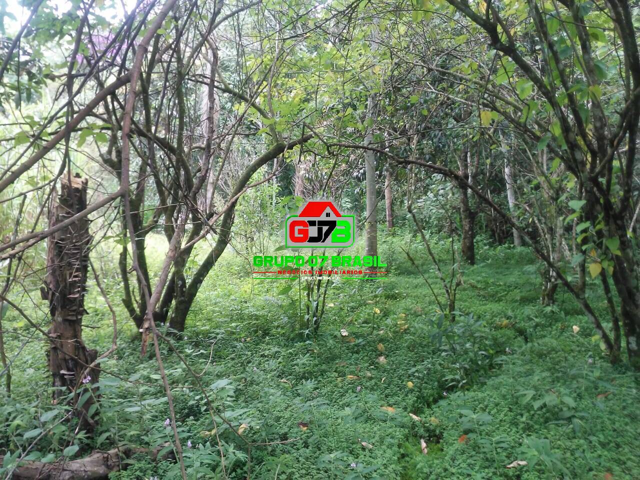 Terreno, 5000 m² - Foto 10