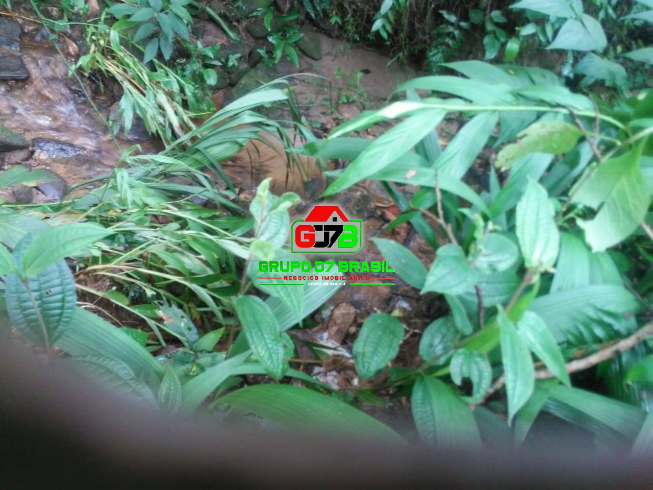 Terreno, 5000 m² - Foto 11