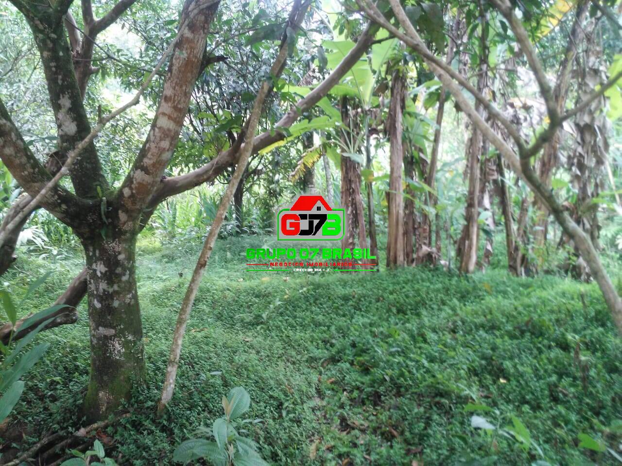 Terreno, 5000 m² - Foto 13