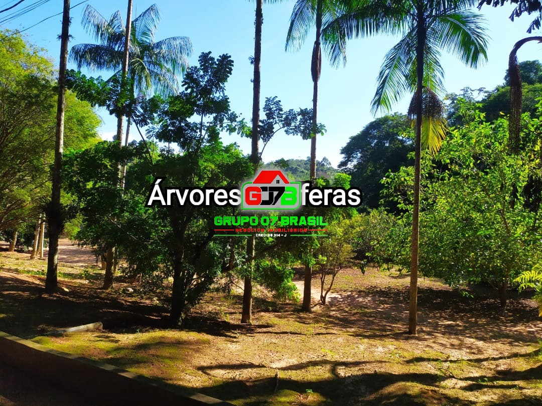 Chácara, 3 quartos, 3800 m² - Foto 5