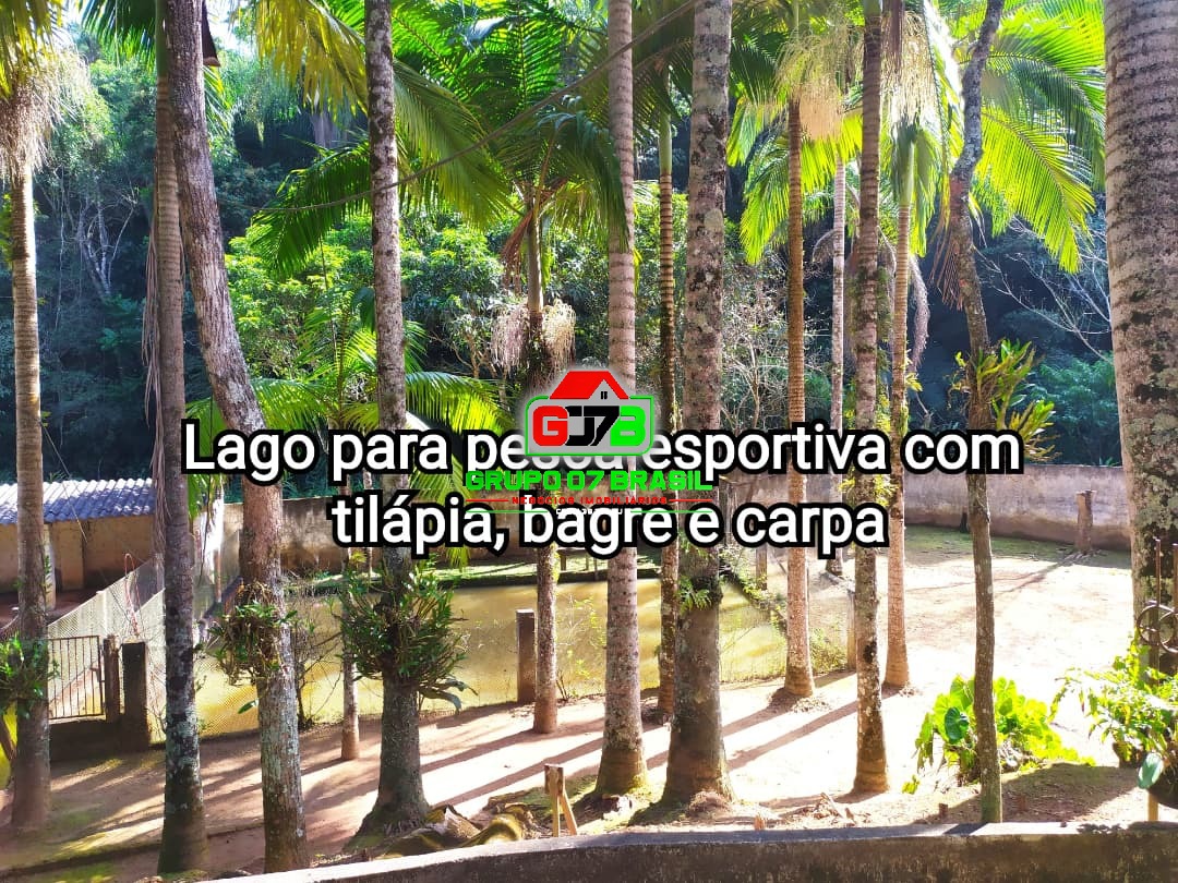 Chácara, 3 quartos, 3800 m² - Foto 11