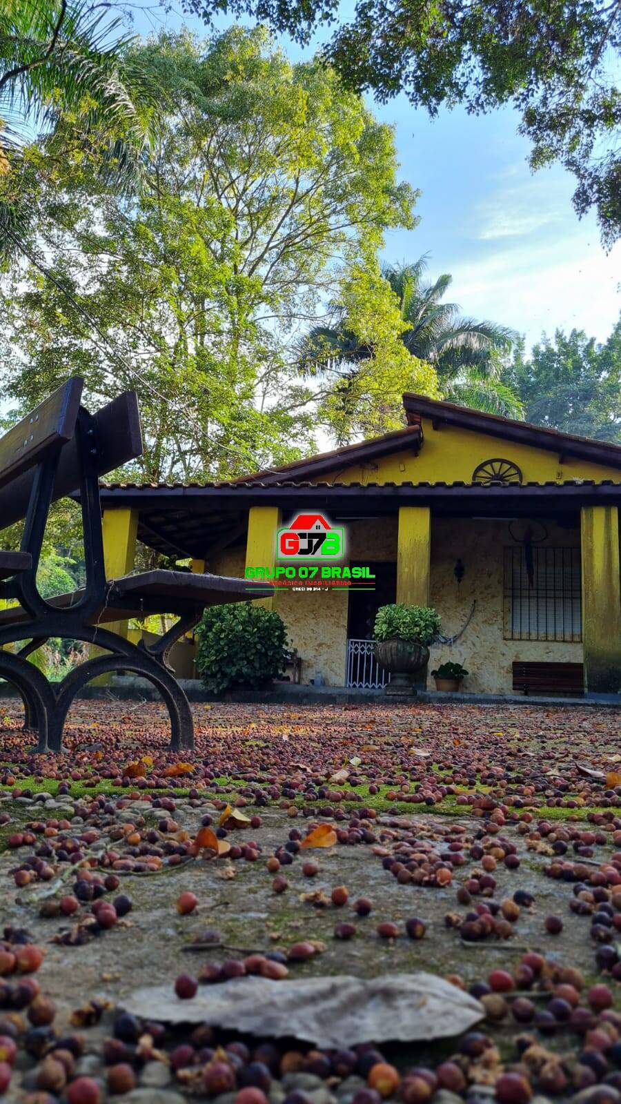 Chácara, 3 quartos, 3800 m² - Foto 16
