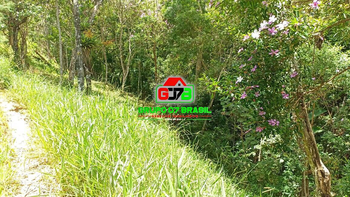 Chácara, 7 quartos, 3 hectares - Foto 6