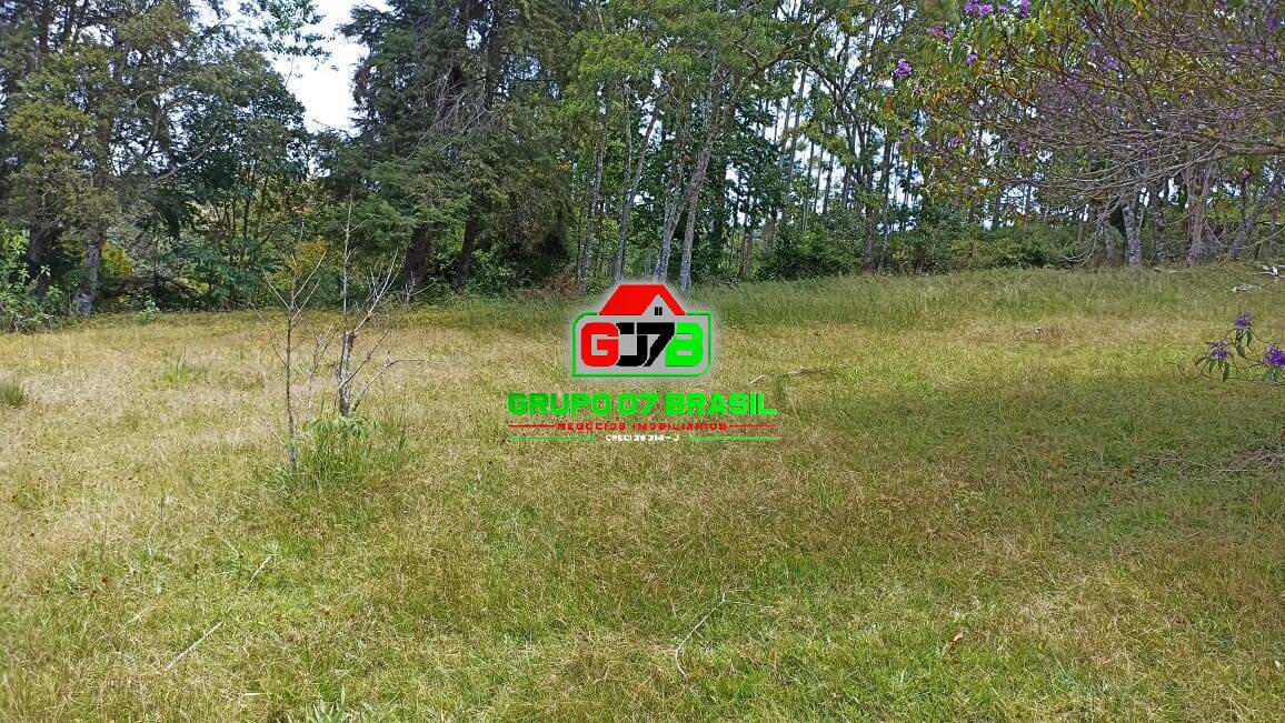 Chácara, 7 quartos, 3 hectares - Foto 20