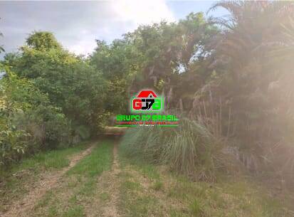 Terreno, 10 hectares - Foto 4