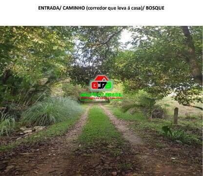 Terreno, 10 hectares - Foto 3