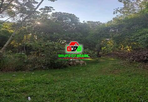 Terreno, 10 hectares - Foto 8