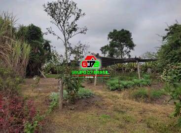 Terreno, 10 hectares - Foto 19