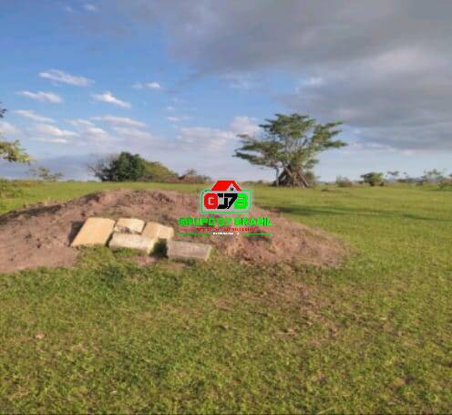 Terreno, 10 hectares - Foto 38