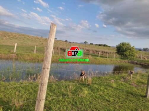 Terreno, 10 hectares - Foto 36