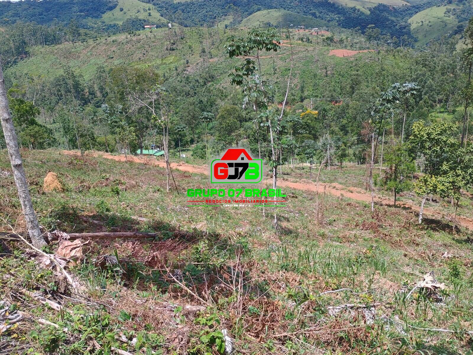 Terreno à venda, 24000m² - Foto 2