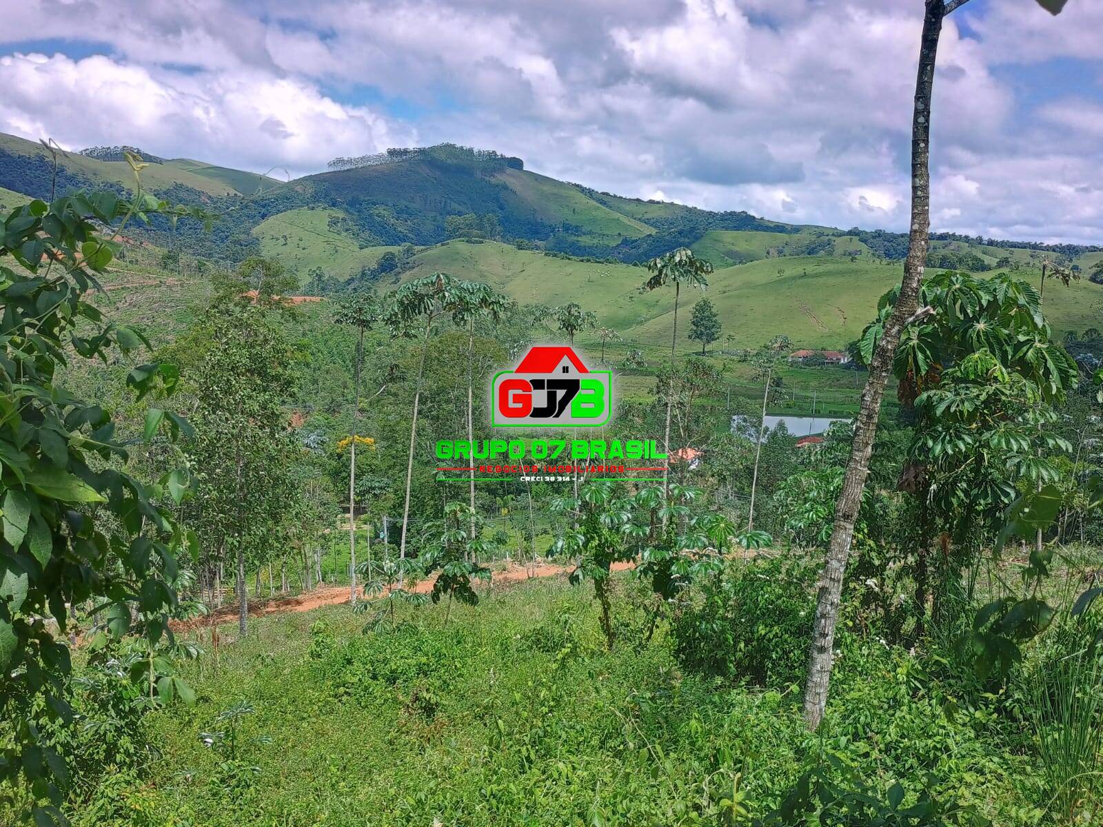 Terreno à venda, 24000m² - Foto 4
