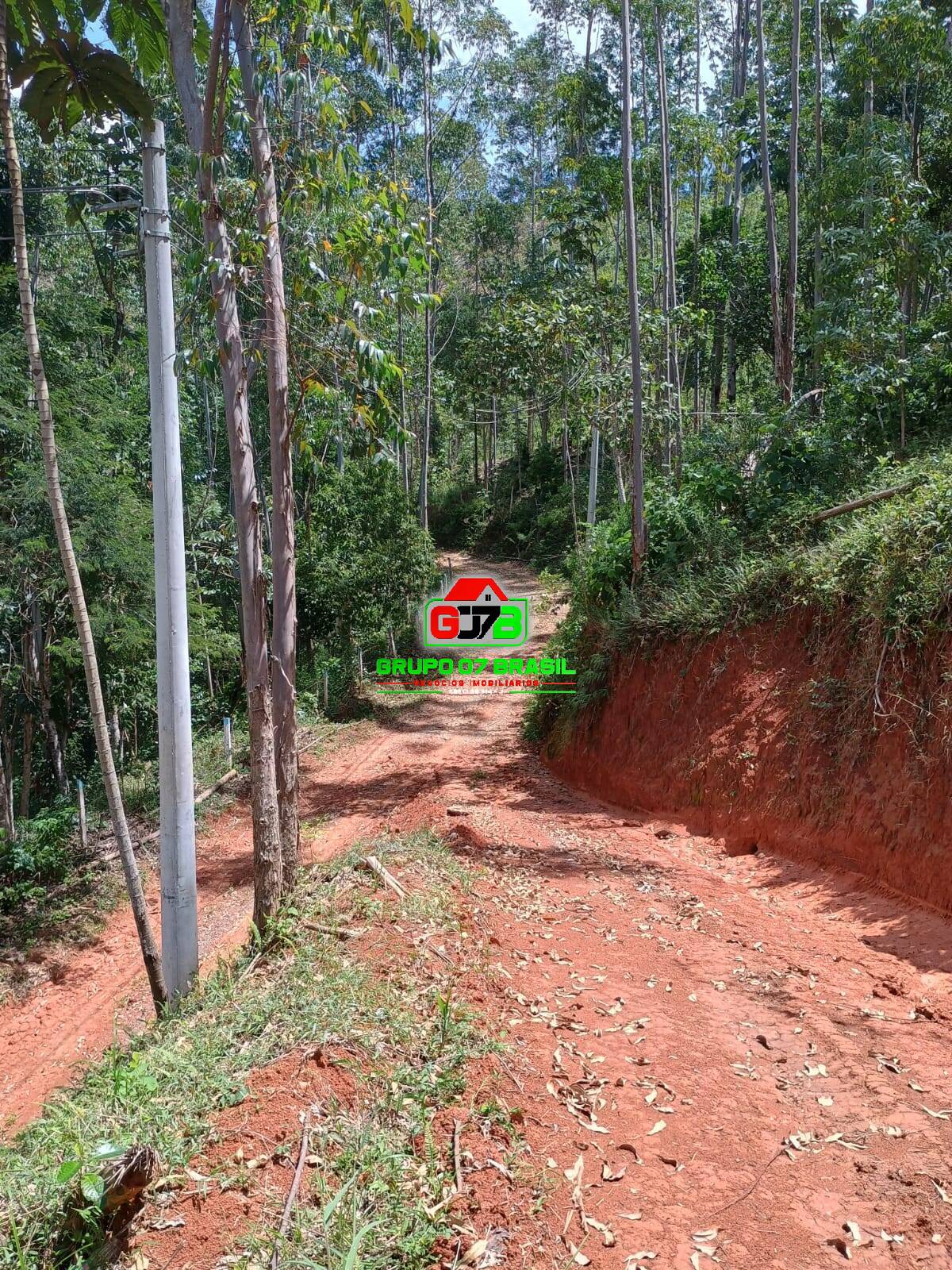 Terreno à venda, 24000m² - Foto 3