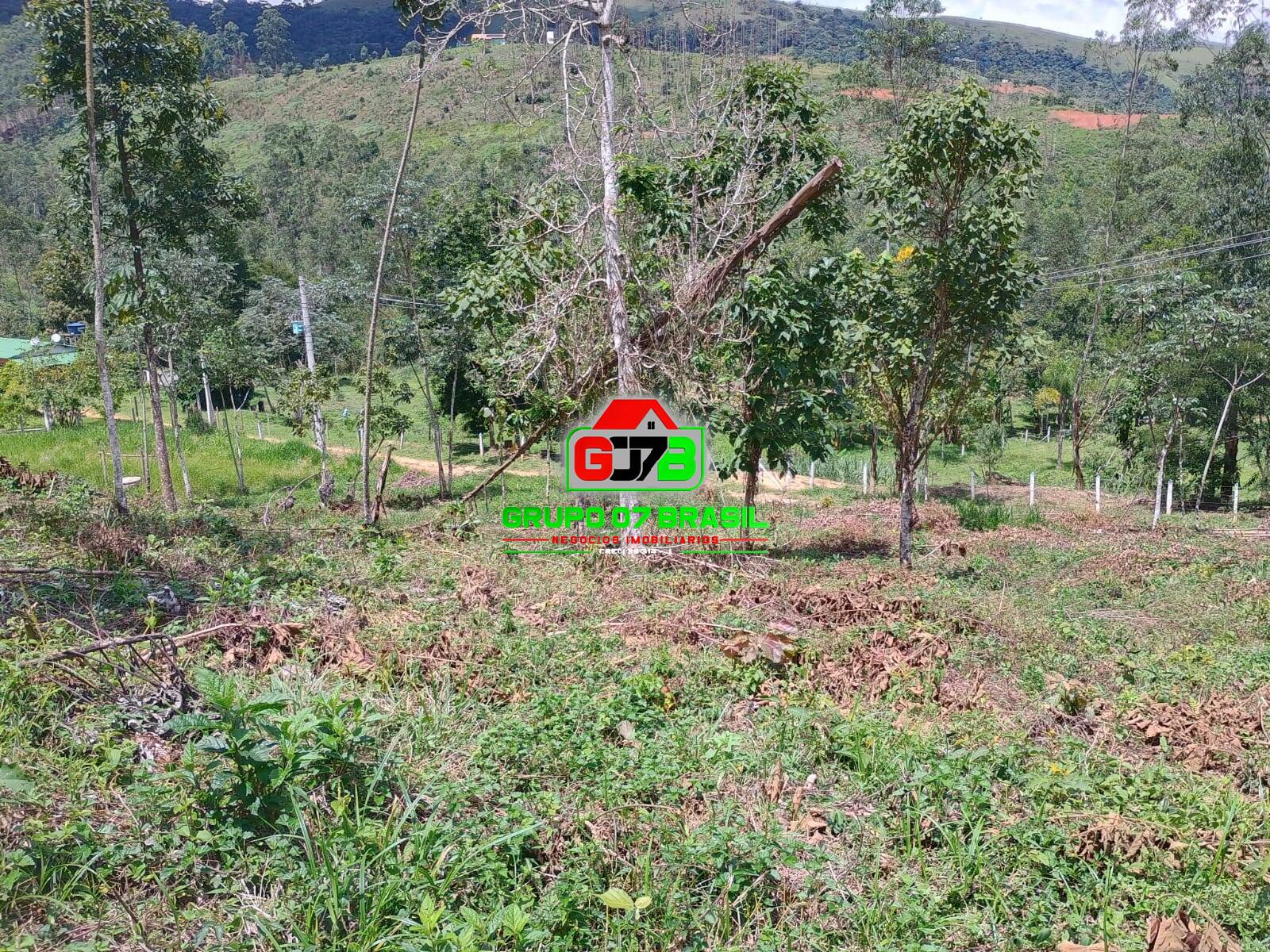Terreno à venda, 24000m² - Foto 5